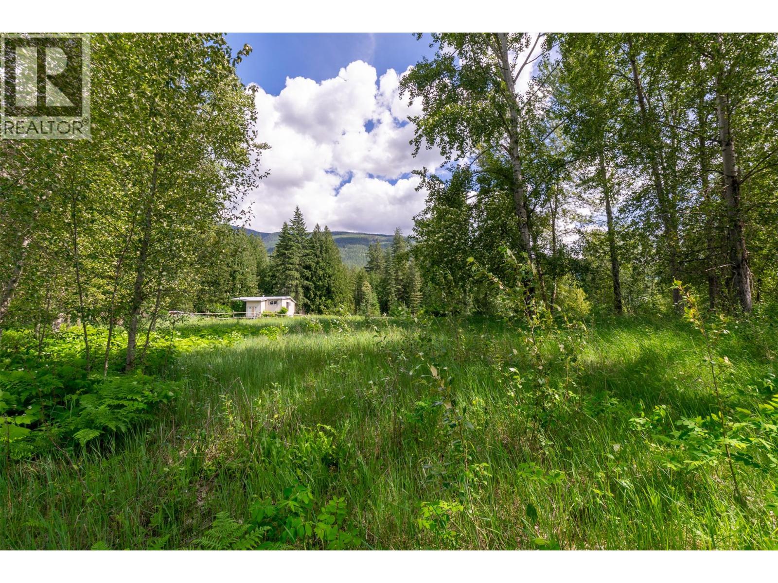 34 West Poirier Road, Mara, British Columbia  V0E 2K0 - Photo 44 - 10390122