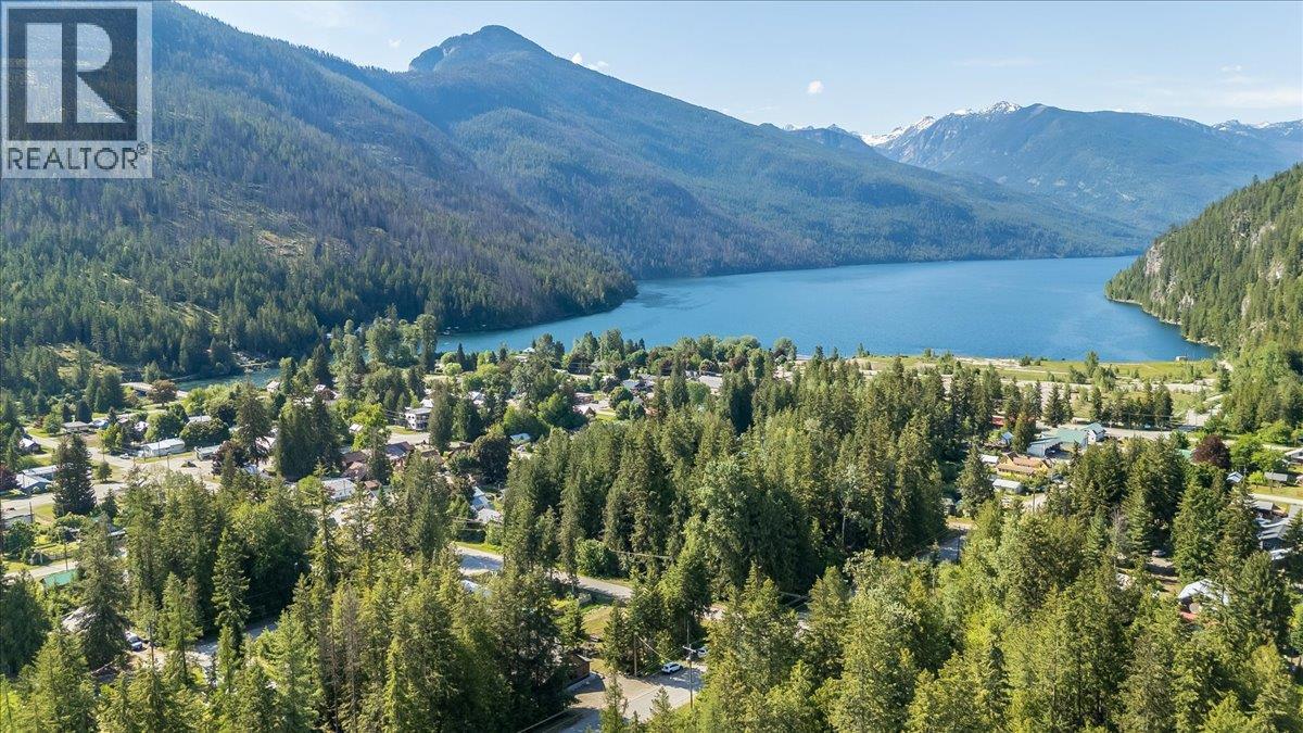 809 Slocan Street, Slocan, British Columbia  V0G 2C0 - Photo 11 - 10389528