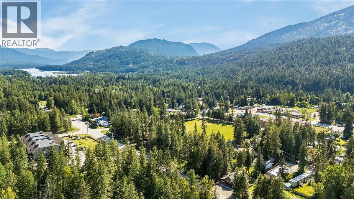 809 Slocan Street, Slocan, British Columbia  V0G 2C0 - Photo 12 - 10389528