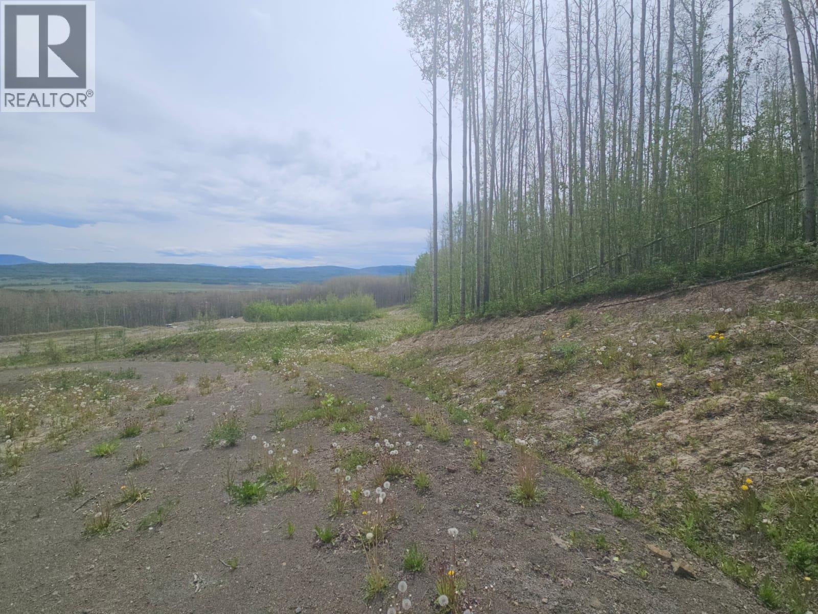 3875 Jackfish Lake Road, Chetwynd, British Columbia  V0C 1J0 - Photo 14 - 10390389