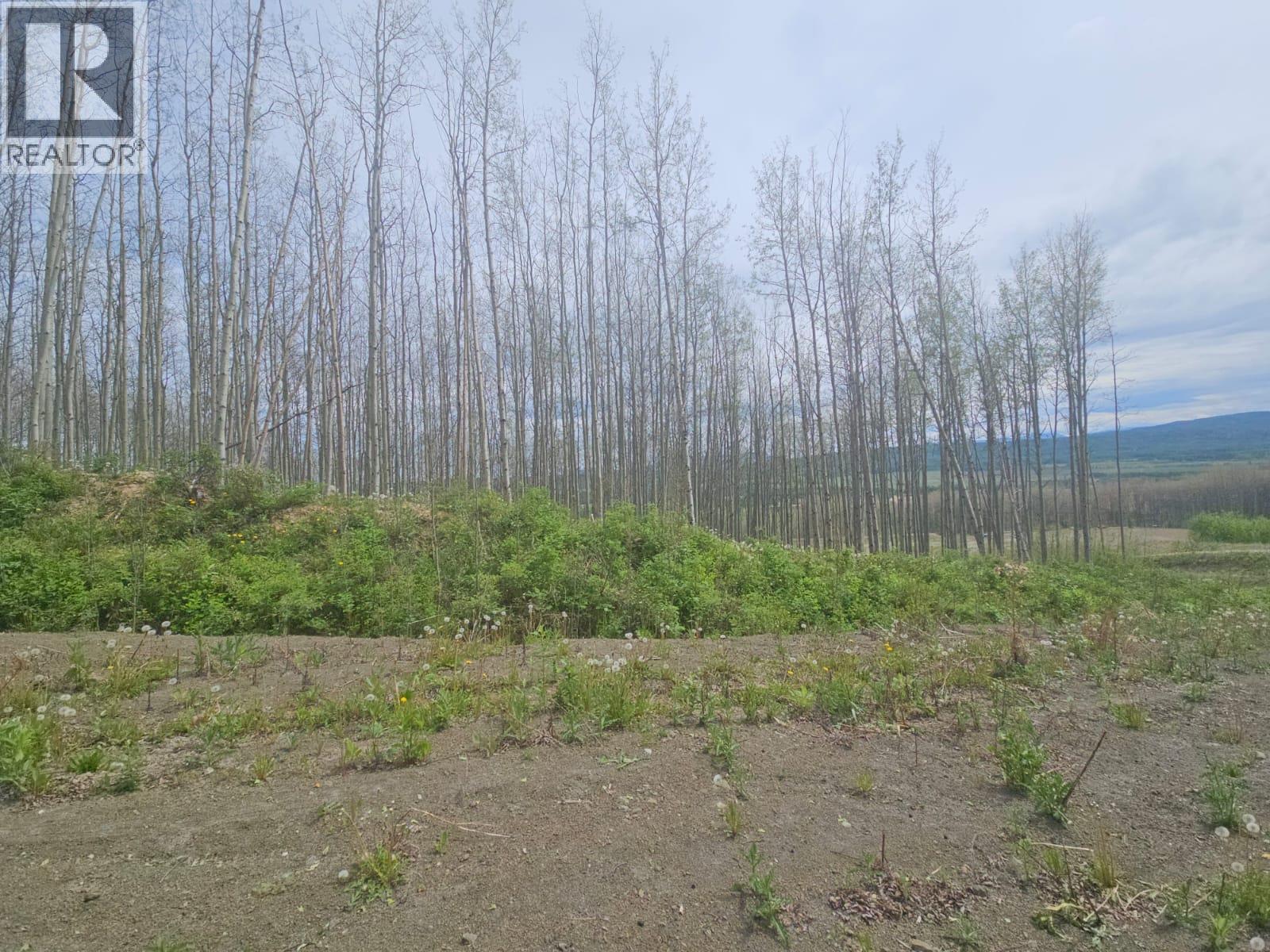 3875 Jackfish Lake Road, Chetwynd, British Columbia  V0C 1J0 - Photo 17 - 10390389