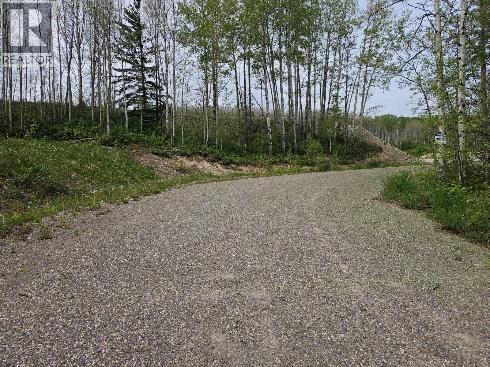 3875 Jackfish Lake Road, Chetwynd, British Columbia  V0C 1J0 - Photo 3 - 10390389