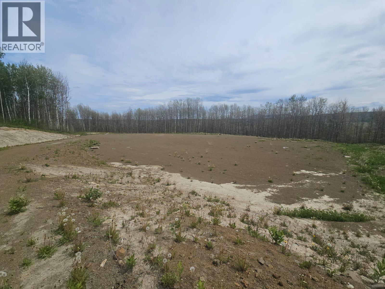 3875 Jackfish Lake Road, Chetwynd, British Columbia  V0C 1J0 - Photo 6 - 10390389