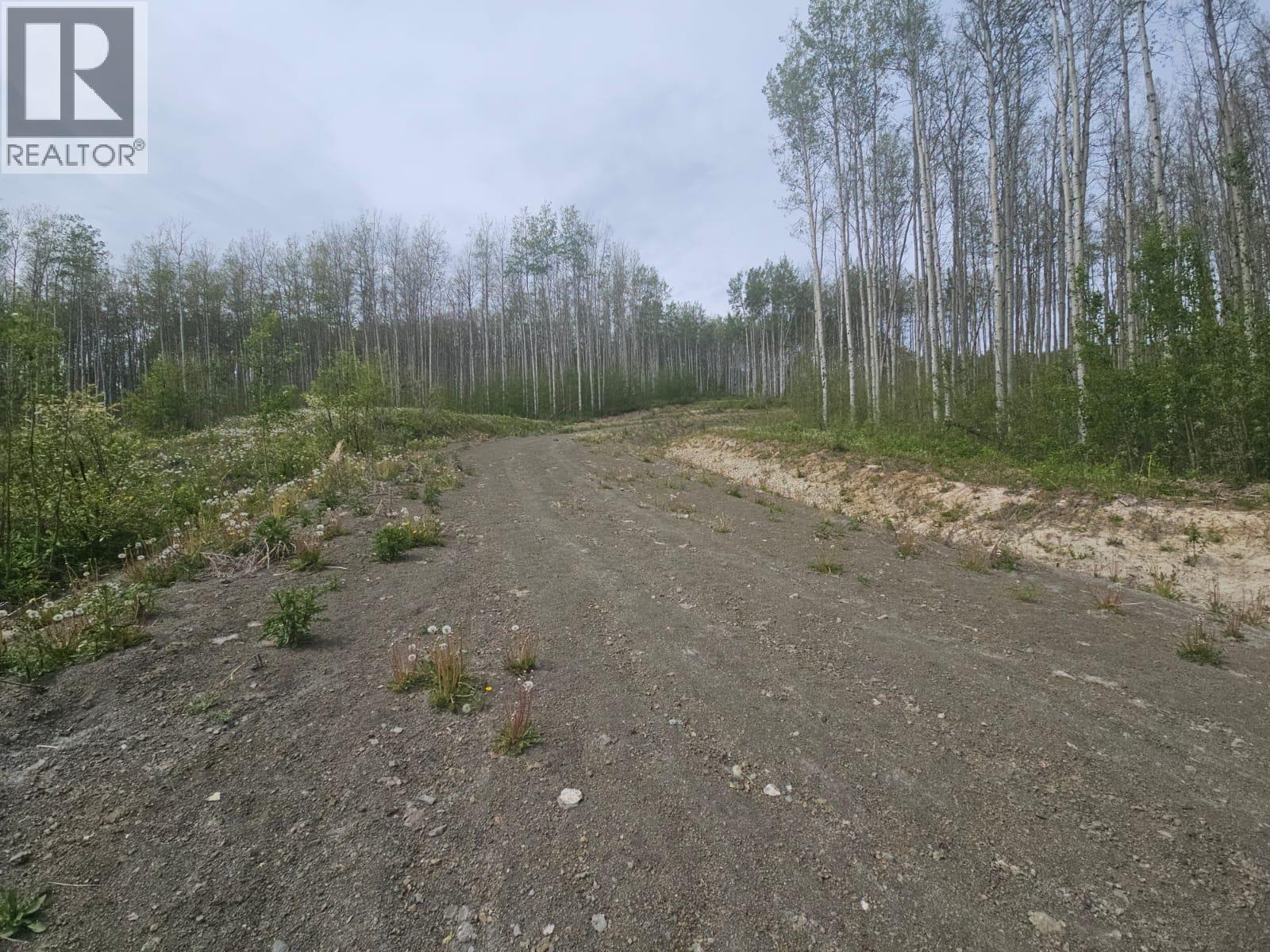 3875 Jackfish Lake Road, Chetwynd, British Columbia  V0C 1J0 - Photo 9 - 10390389