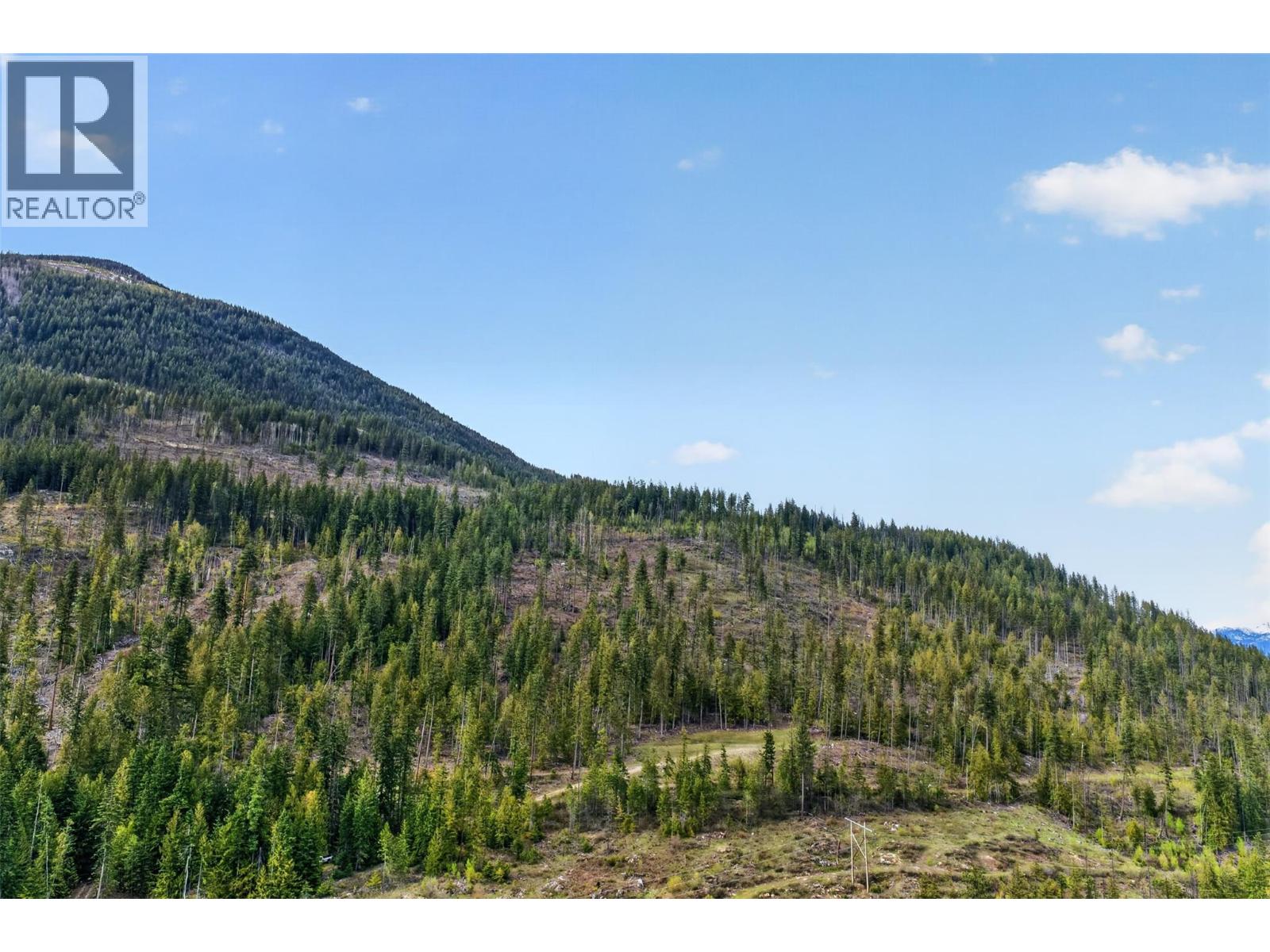 Dl 7620 Rogers Road, Balfour, British Columbia  V0G 1C0 - Photo 14 - 10390339