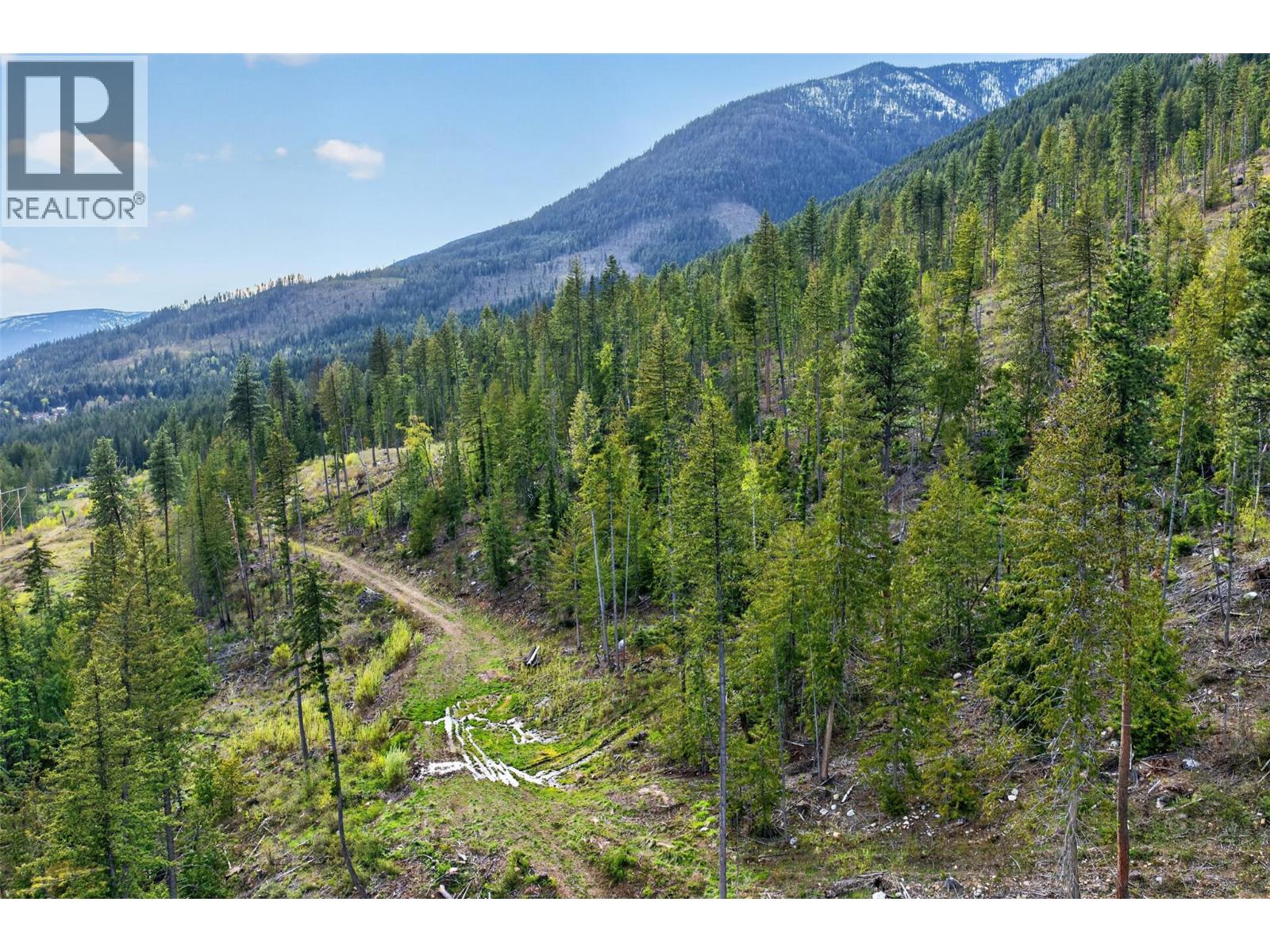 Dl 7620 Rogers Road, Balfour, British Columbia  V0G 1C0 - Photo 18 - 10390339