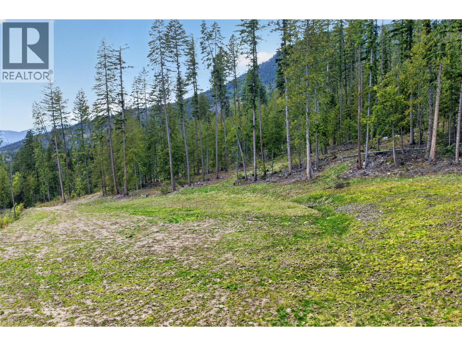 Dl 7620 Rogers Road, Balfour, British Columbia  V0G 1C0 - Photo 2 - 10390339