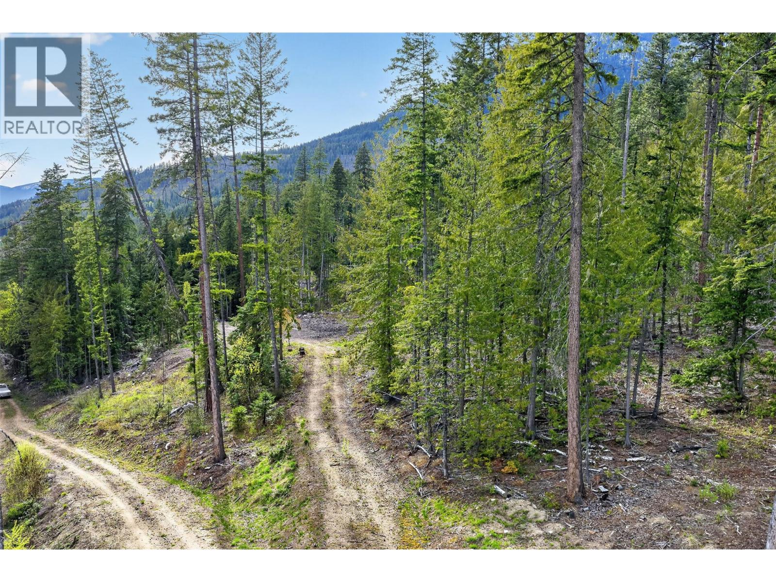 Dl 7620 Rogers Road, Balfour, British Columbia  V0G 1C0 - Photo 20 - 10390339