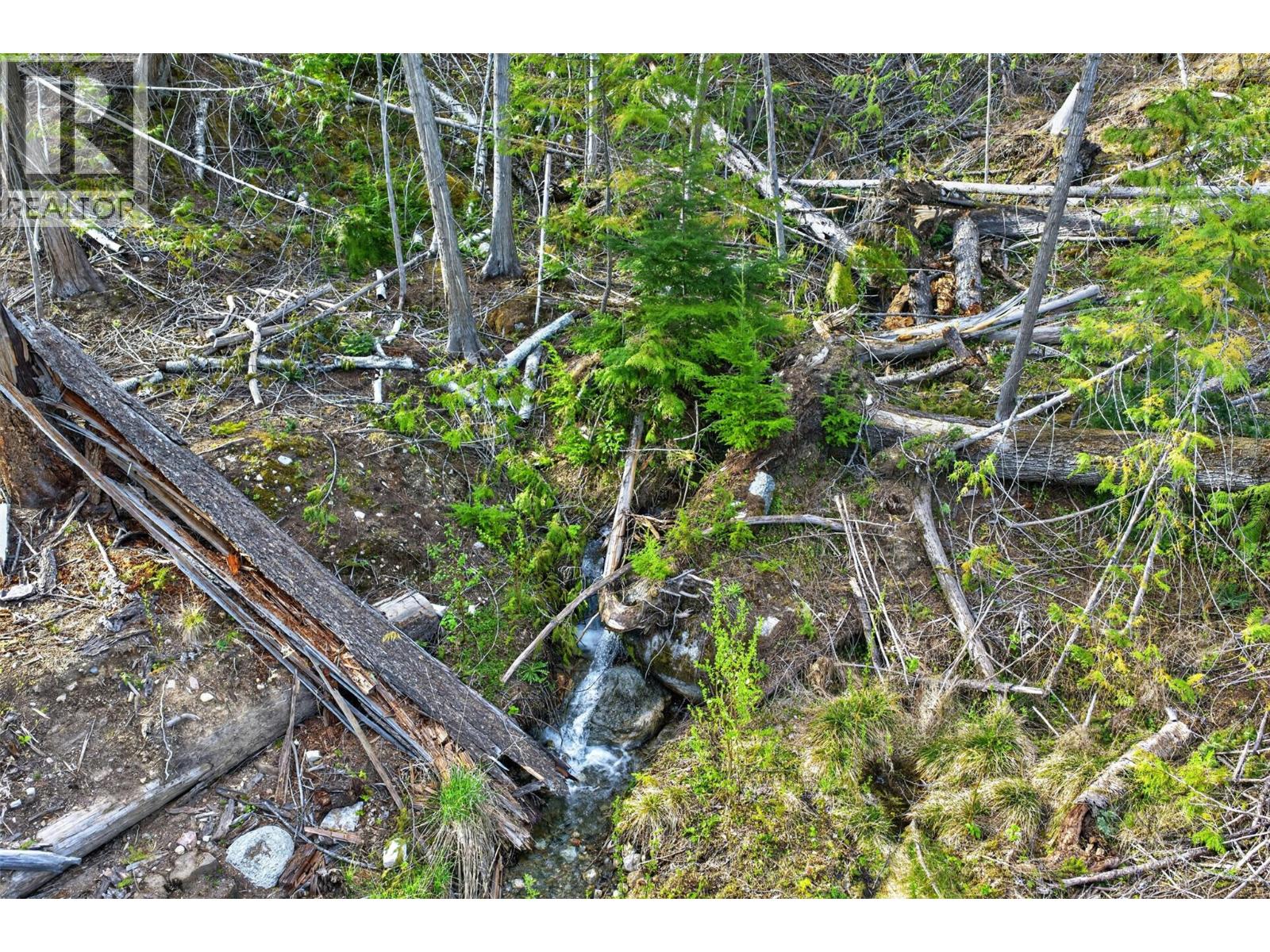 Dl 7620 Rogers Road, Balfour, British Columbia  V0G 1C0 - Photo 21 - 10390339