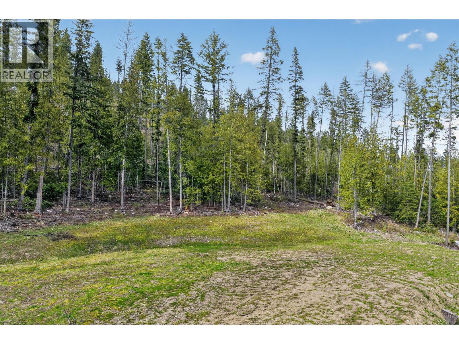 Dl 7620 Rogers Road, Balfour, British Columbia  V0G 1C0 - Photo 7 - 10390339