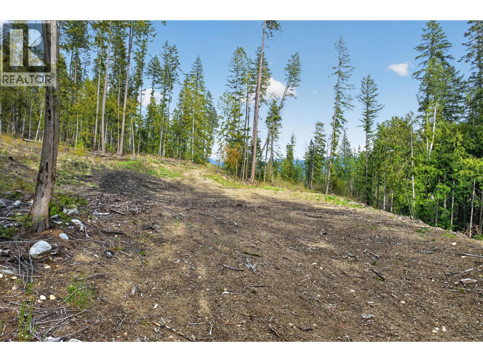 Dl 7620 Rogers Road, Balfour, British Columbia  V0G 1C0 - Photo 9 - 10390339