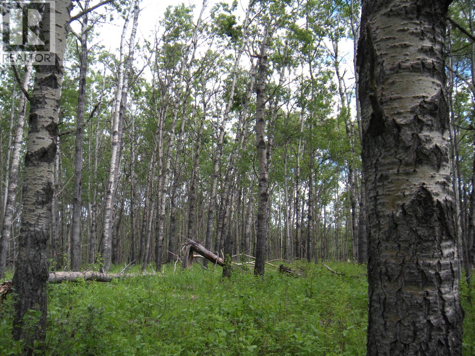 206 Sw 1/4 Sec 36 Road, Dawson Creek, British Columbia  V1G 0A4 - Photo 13 - 10390307