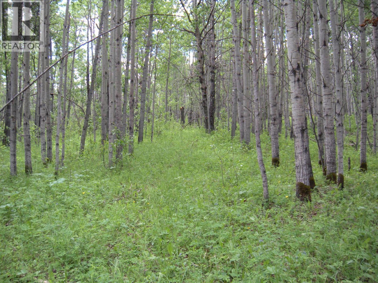 206 Sw 1/4 Sec 36 Road, Dawson Creek, British Columbia  V1G 0A4 - Photo 18 - 10390307
