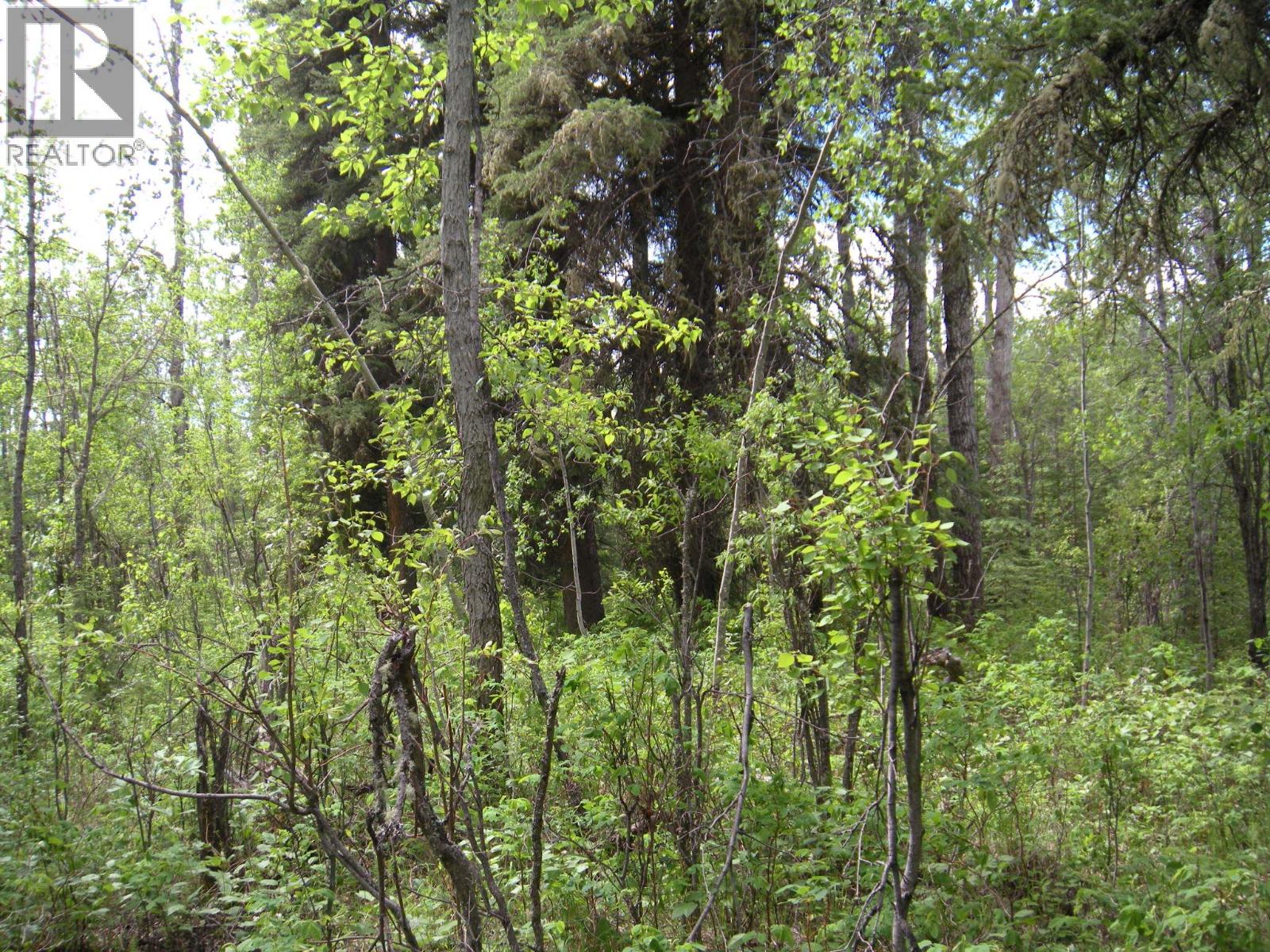 206 Sw 1/4 Sec 36 Road, Dawson Creek, British Columbia  V1G 0A4 - Photo 20 - 10390307