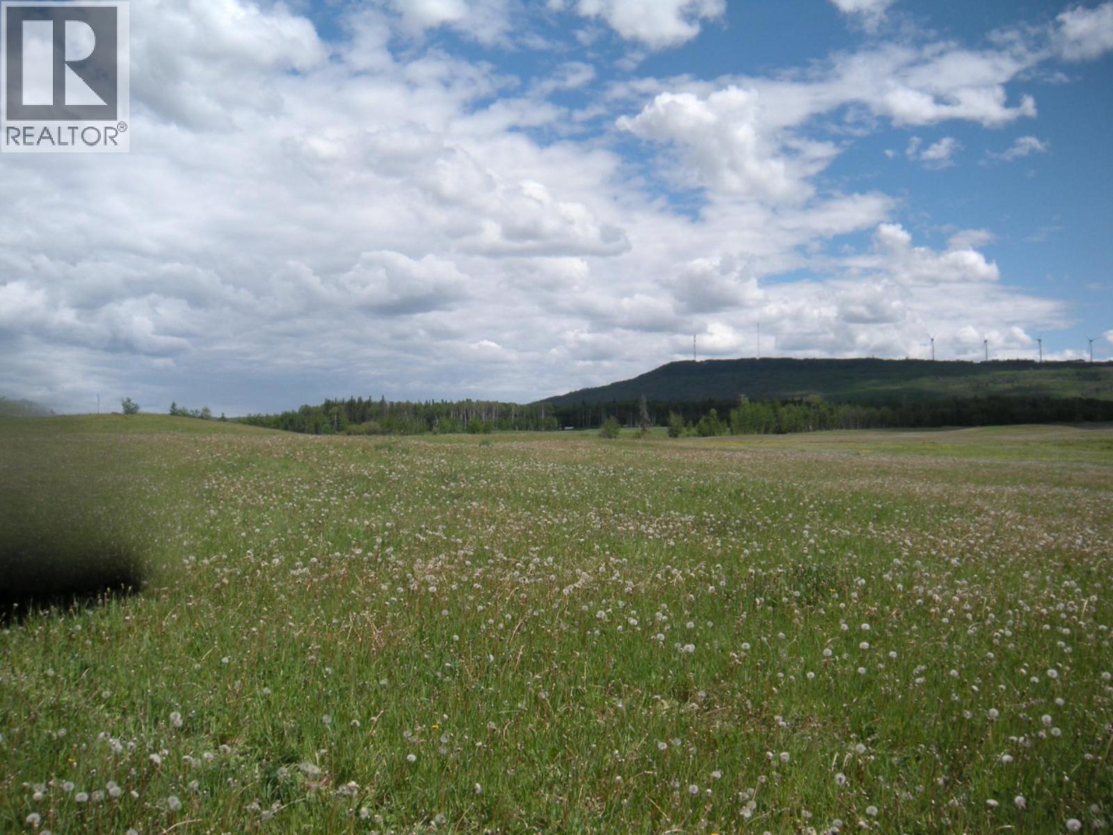 206 Sw 1/4 Sec 36 Road, Dawson Creek, British Columbia  V1G 0A4 - Photo 3 - 10390307