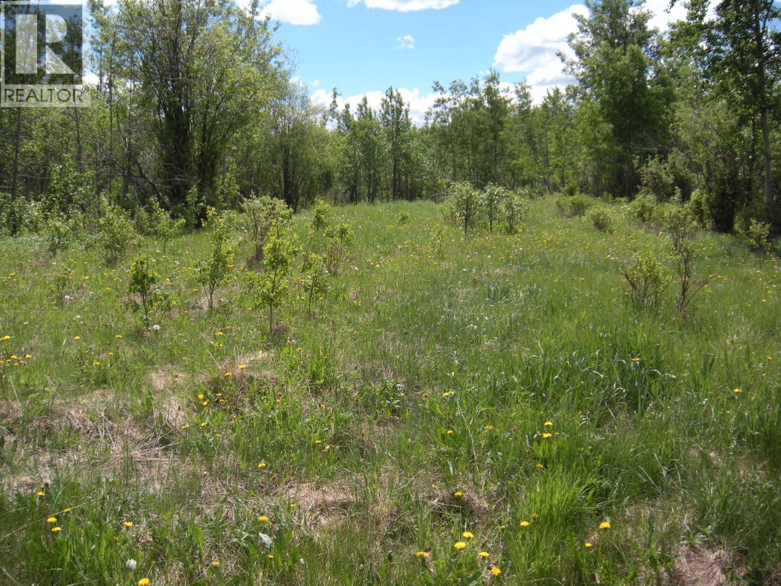 206 Sw 1/4 Sec 36 Road, Dawson Creek, British Columbia  V1G 0A4 - Photo 4 - 10390307