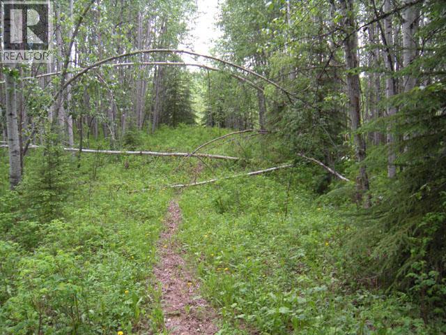 206 Sw 1/4 Sec 36 Road, Dawson Creek, British Columbia  V1G 0A4 - Photo 5 - 10390307