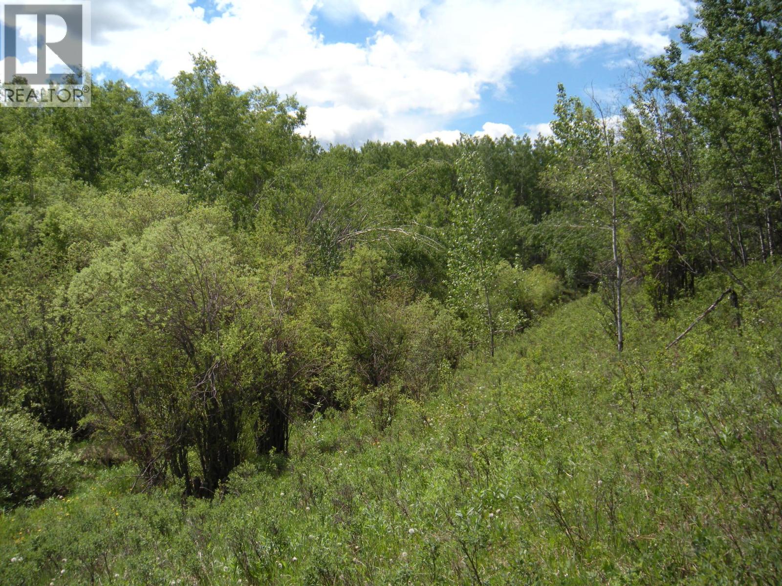 206 Sw 1/4 Sec 36 Road, Dawson Creek, British Columbia  V1G 0A4 - Photo 7 - 10390307