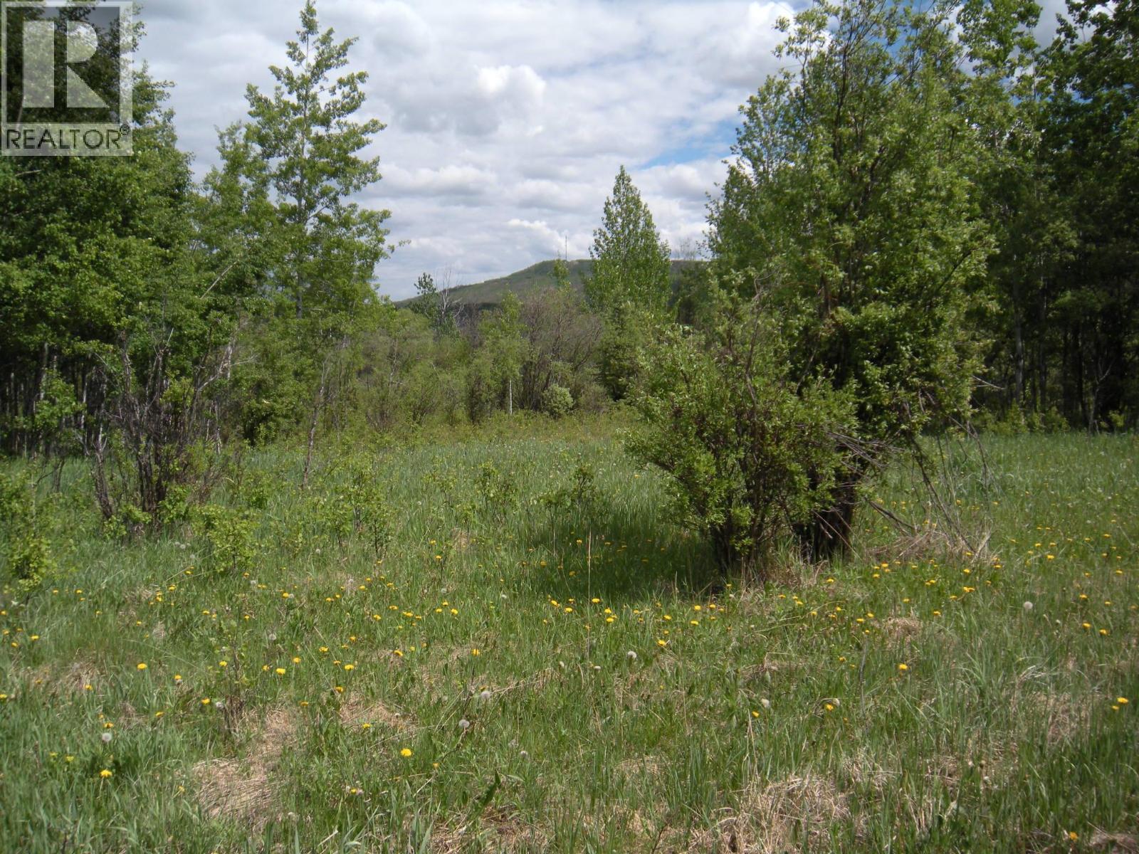 206 Sw 1/4 Sec 36 Road, Dawson Creek, British Columbia  V1G 0A4 - Photo 9 - 10390307