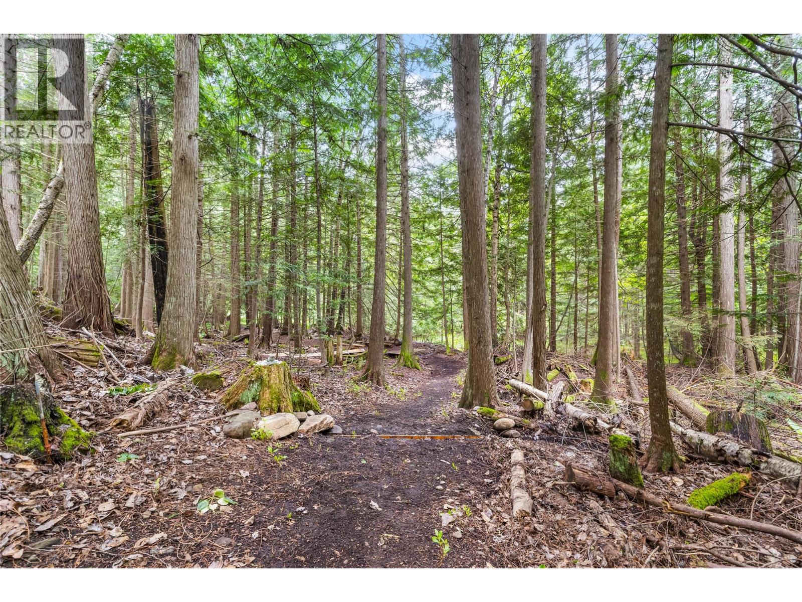 16424 Wadds Road, Crawford Bay, British Columbia  V0B 1E0 - Photo 52 - 10390341