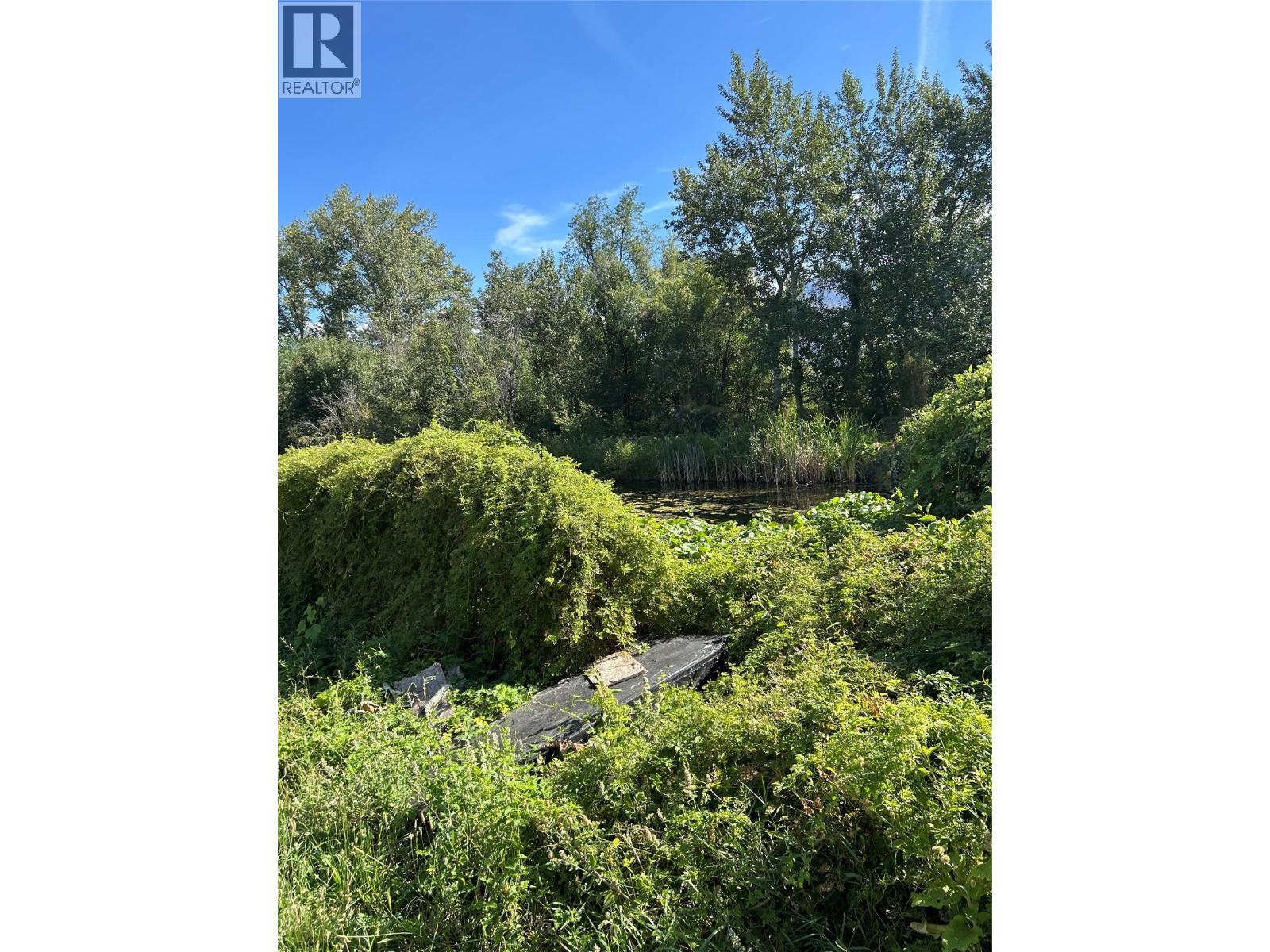 7561 Highway 97, Oliver, British Columbia  V0H 1T5 - Photo 17 - 10390325