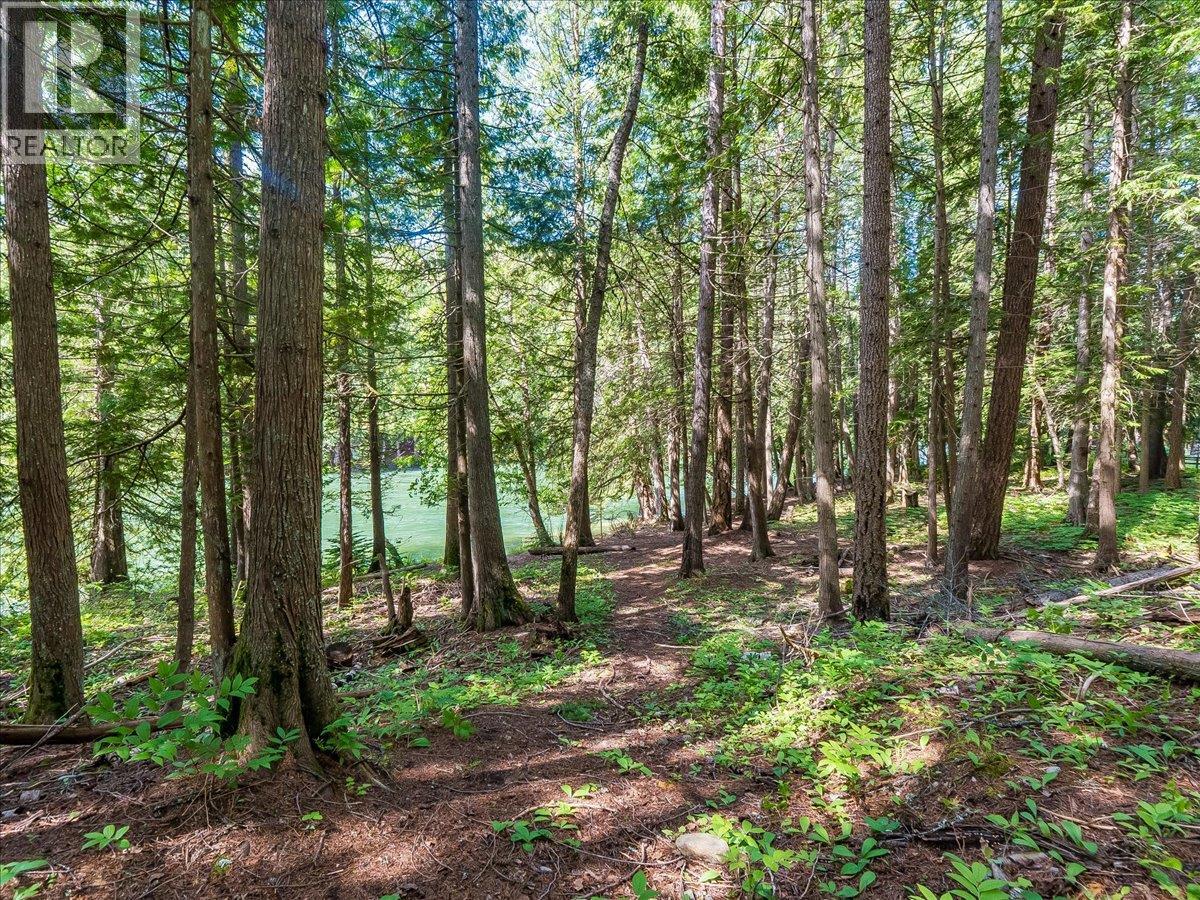 2621 3a Highway, Castlegar, British Columbia  V1N 3H3 - Photo 22 - 10390037
