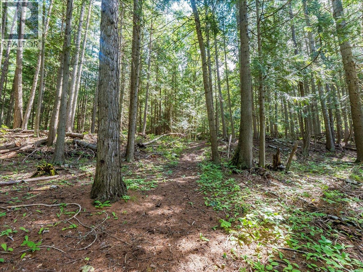 2621 3a Highway, Castlegar, British Columbia  V1N 3H3 - Photo 23 - 10390037