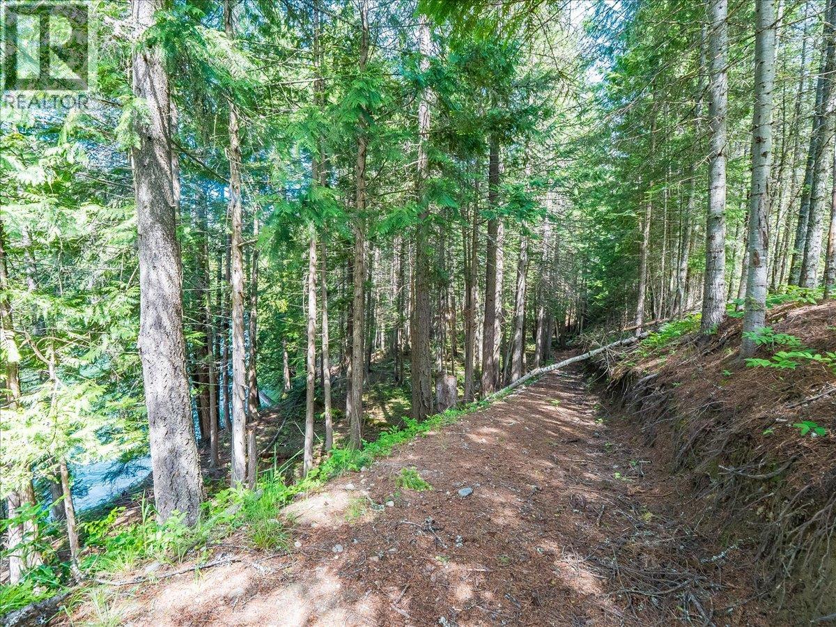 2621 3a Highway, Castlegar, British Columbia  V1N 3H3 - Photo 25 - 10390037