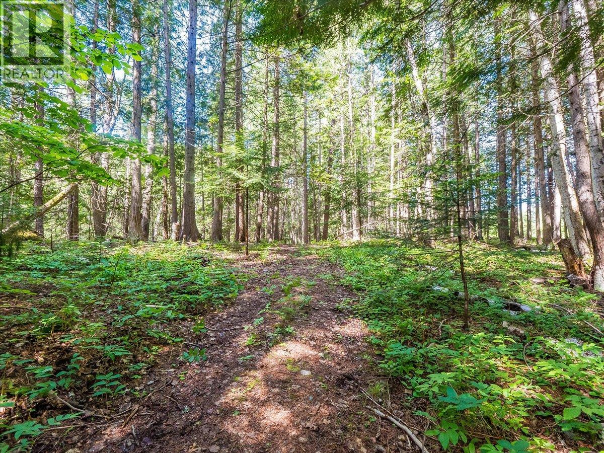 2621 3a Highway, Castlegar, British Columbia  V1N 3H3 - Photo 26 - 10390037