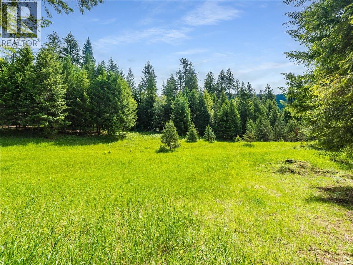 2621 3a Highway, Castlegar, British Columbia  V1N 3H3 - Photo 27 - 10390037
