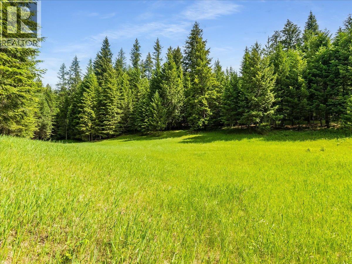 2621 3a Highway, Castlegar, British Columbia  V1N 3H3 - Photo 28 - 10390037