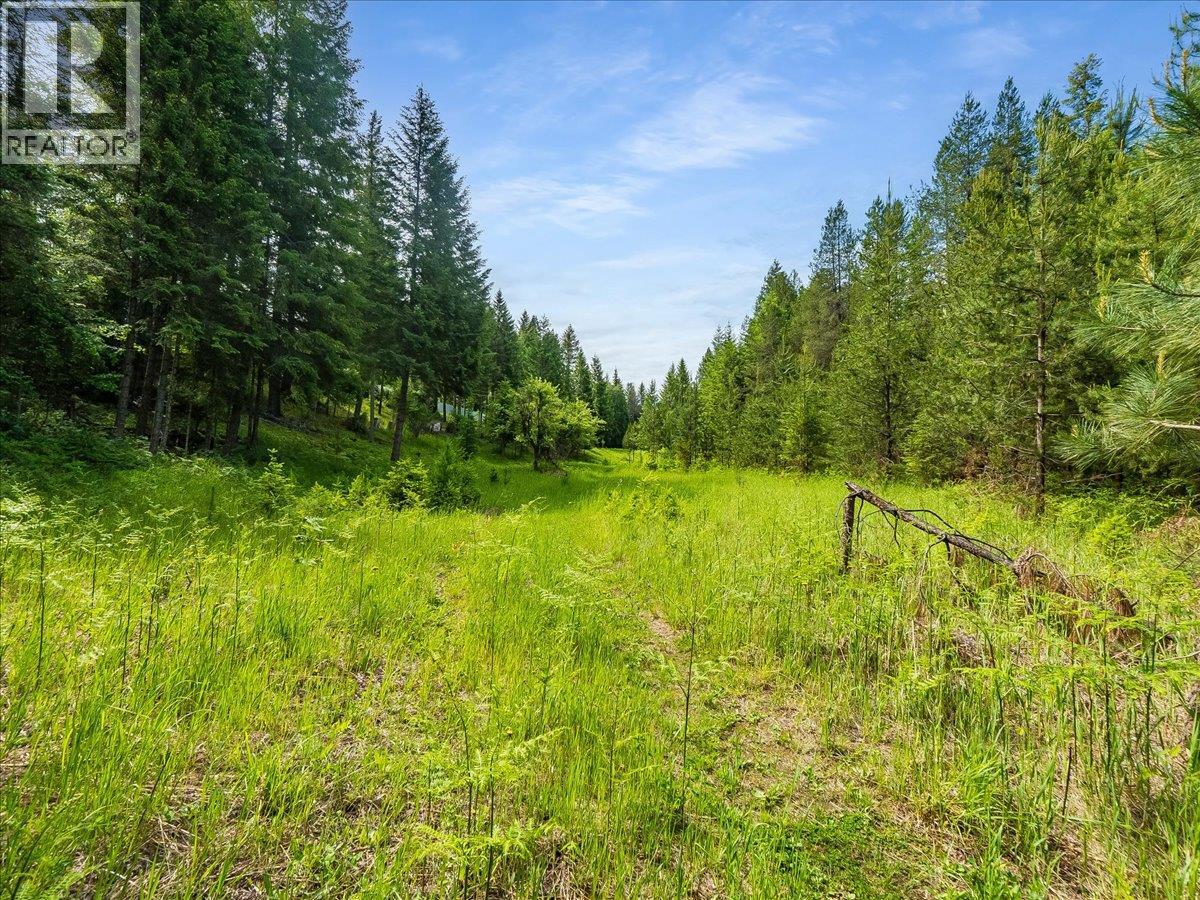 2621 3a Highway, Castlegar, British Columbia  V1N 3H3 - Photo 29 - 10390037