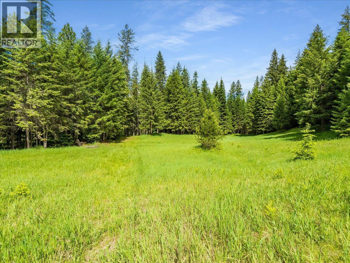 2621 3a Highway, Castlegar, British Columbia  V1N 3H3 - Photo 30 - 10390037