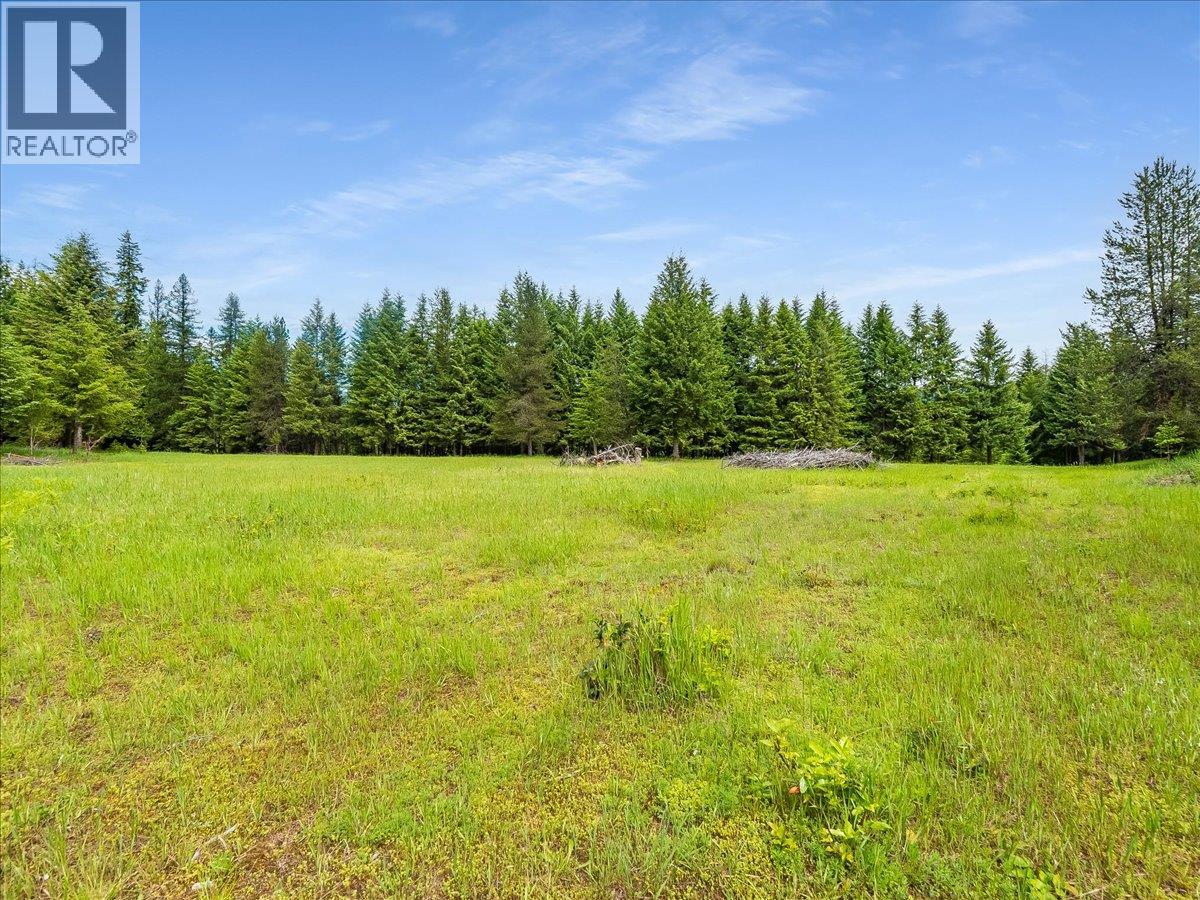 2621 3a Highway, Castlegar, British Columbia  V1N 3H3 - Photo 32 - 10390037
