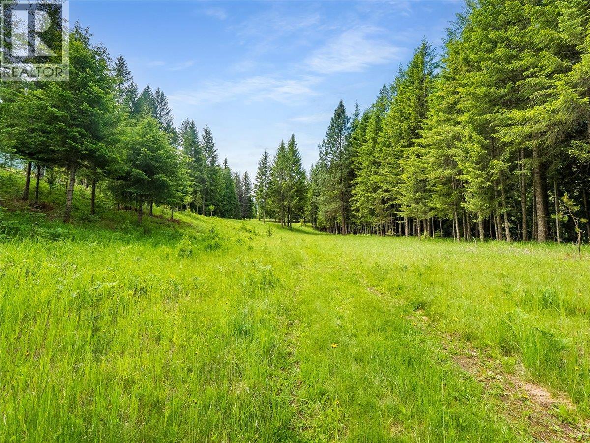 2621 3a Highway, Castlegar, British Columbia  V1N 3H3 - Photo 33 - 10390037