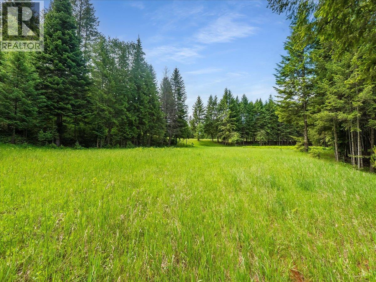 2621 3a Highway, Castlegar, British Columbia  V1N 3H3 - Photo 34 - 10390037
