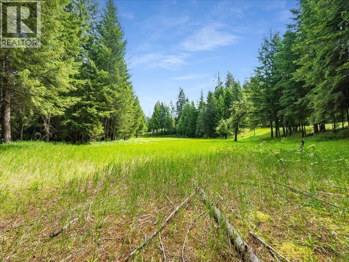 2621 3a Highway, Castlegar, British Columbia  V1N 3H3 - Photo 35 - 10390037