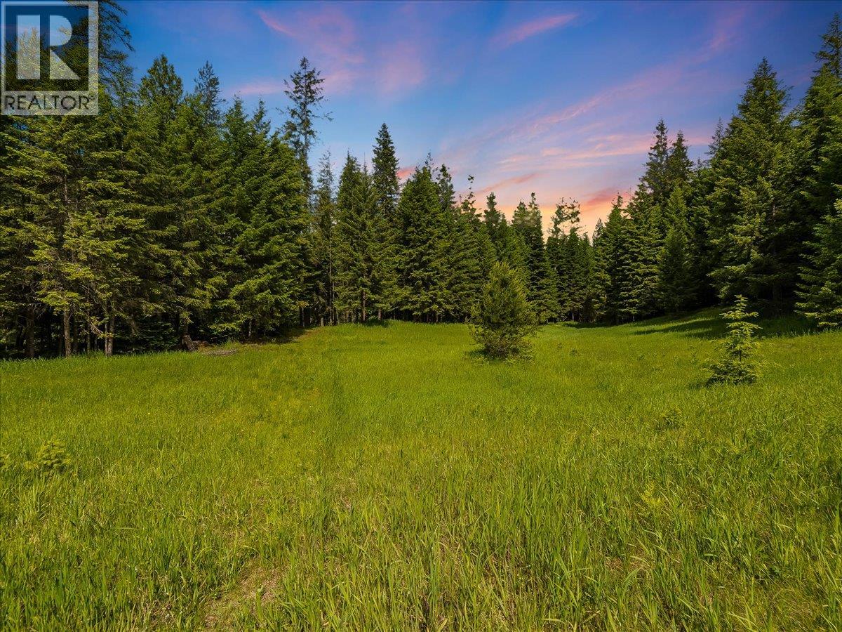 2621 3a Highway, Castlegar, British Columbia  V1N 3H3 - Photo 44 - 10390037