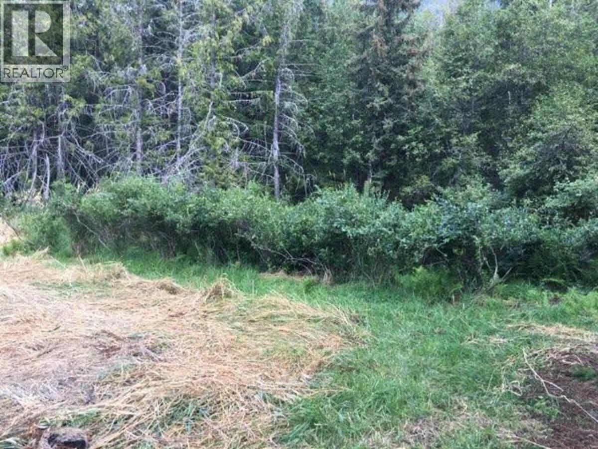 4856 32 Street, Canyon, British Columbia  V0B 1C1 - Photo 23 - 10390497