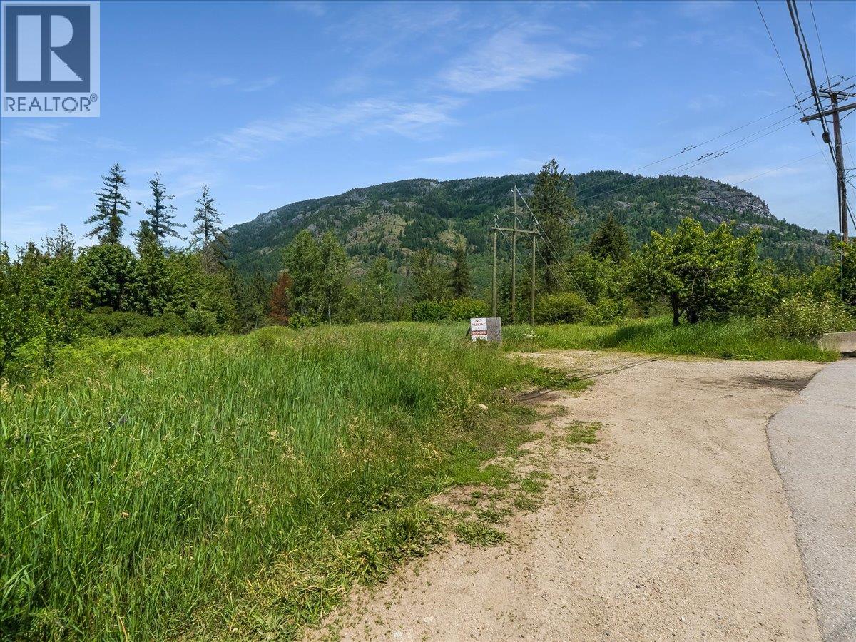1101 1st Street Lot# Lot A, Castlegar, British Columbia  V1N 1A1 - Photo 10 - 10390418