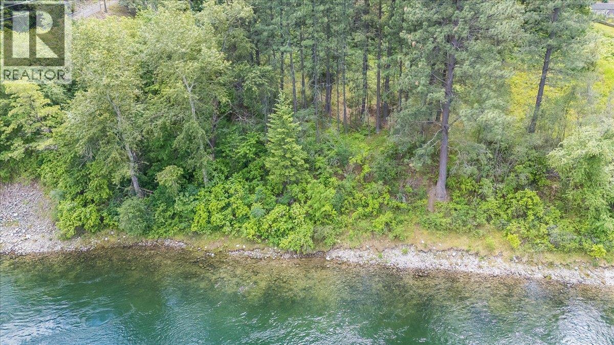 1101 1st Street Lot# Lot A, Castlegar, British Columbia  V1N 1A1 - Photo 8 - 10390418