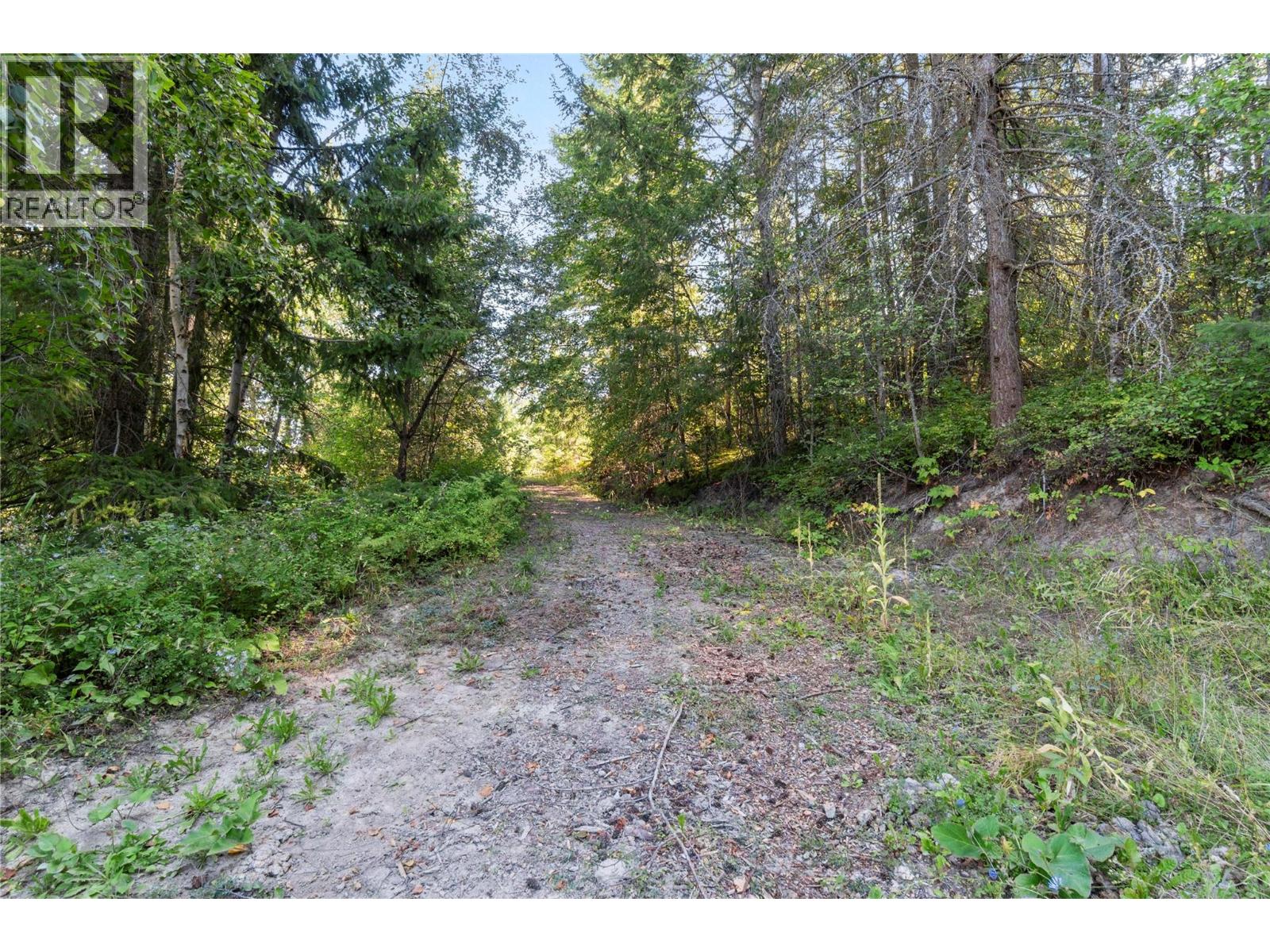 3590 50 Street Ne, Salmon Arm, British Columbia  V1E 1Y5 - Photo 54 - 10390492