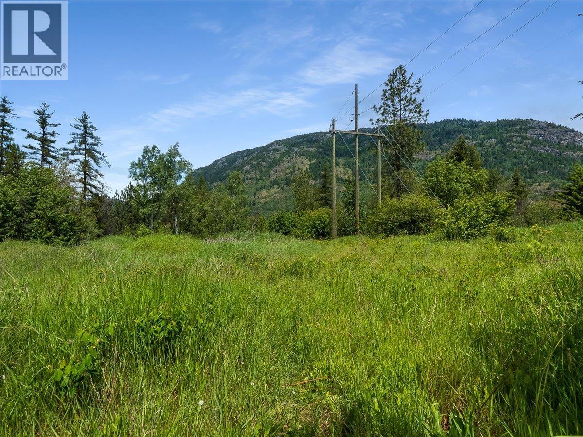 1101 1st Street Lot# Lot B, Castlegar, British Columbia  V1N 1A1 - Photo 9 - 10390426
