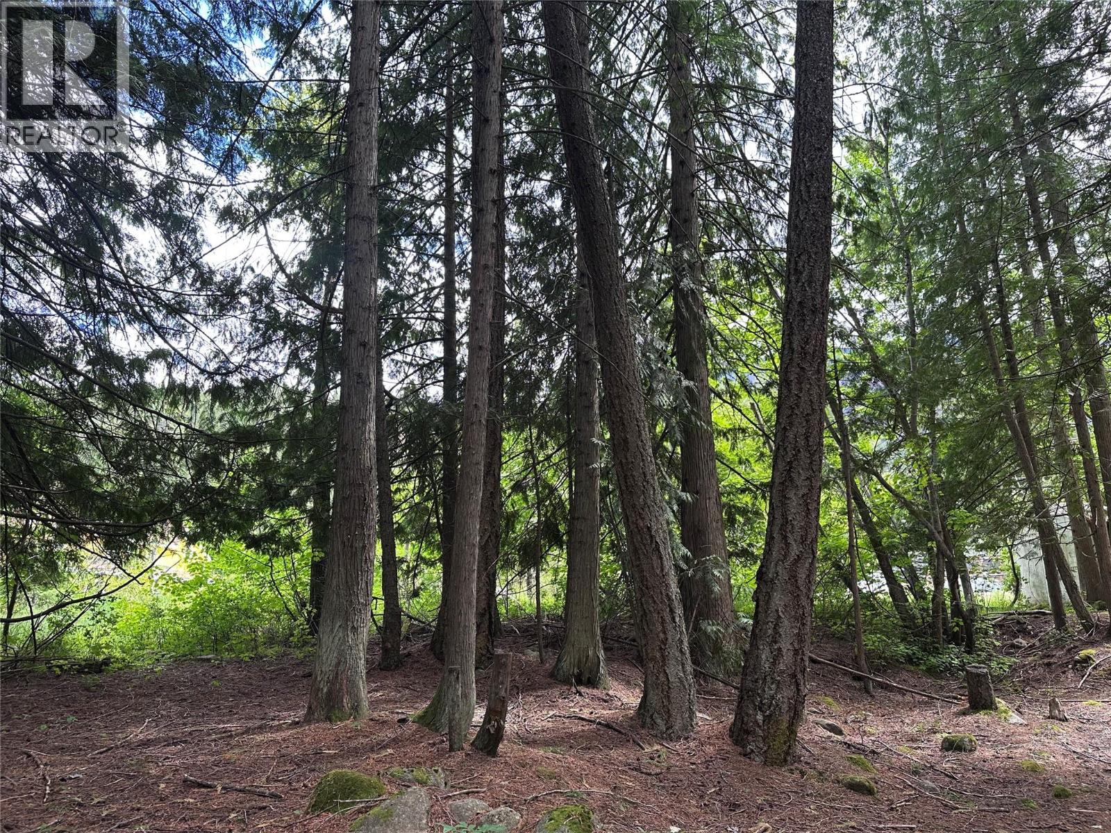 611 Slocan Street, Slocan, British Columbia  V0G 2C0 - Photo 11 - 10390482