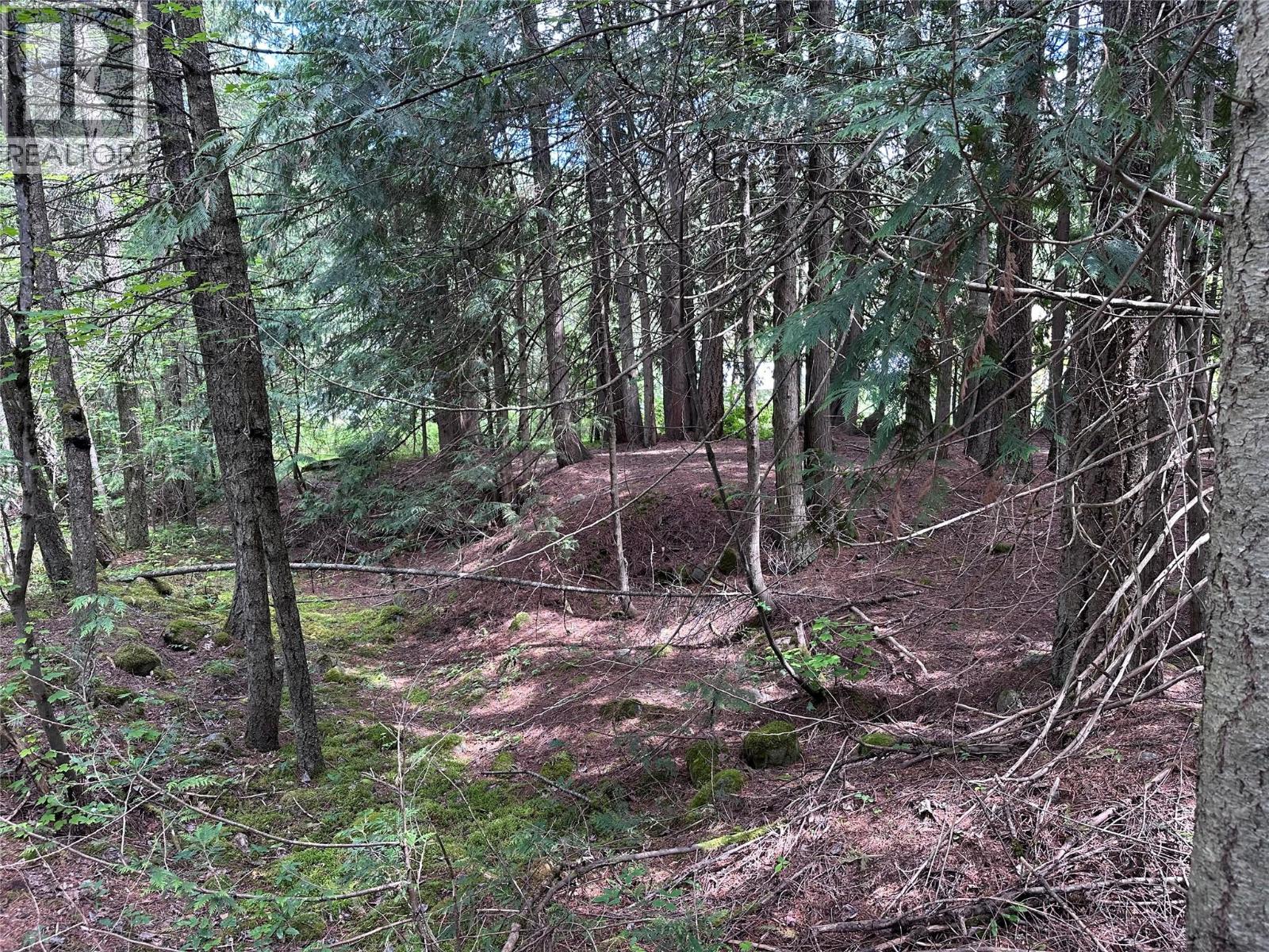 611 Slocan Street, Slocan, British Columbia  V0G 2C0 - Photo 12 - 10390482