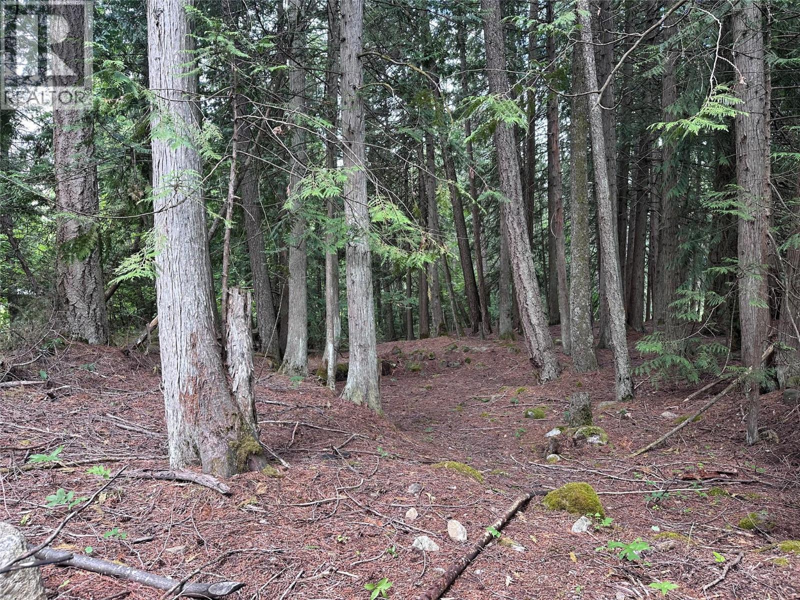 611 Slocan Street, Slocan, British Columbia  V0G 2C0 - Photo 14 - 10390482