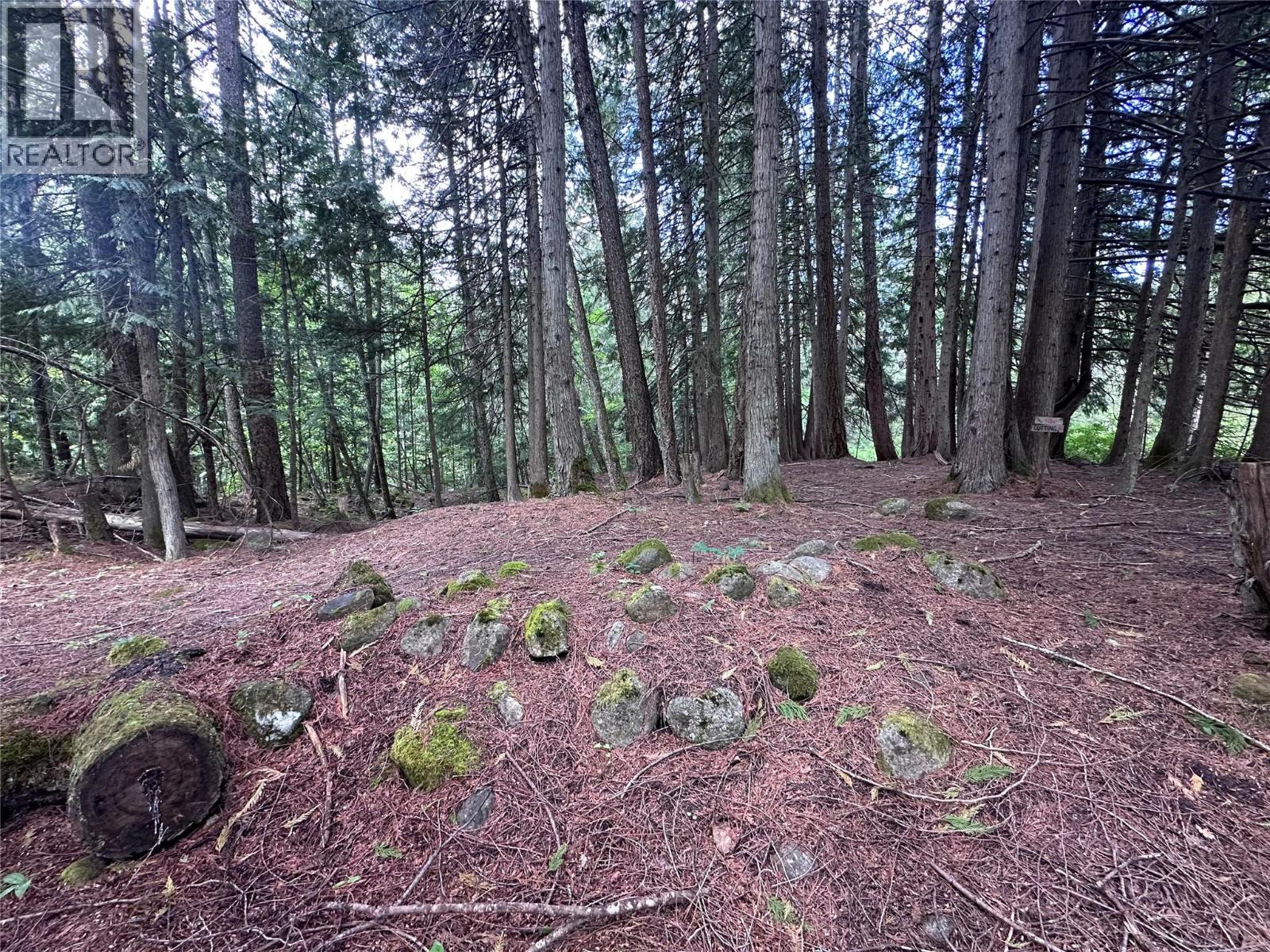 611 Slocan Street, Slocan, British Columbia  V0G 2C0 - Photo 15 - 10390482