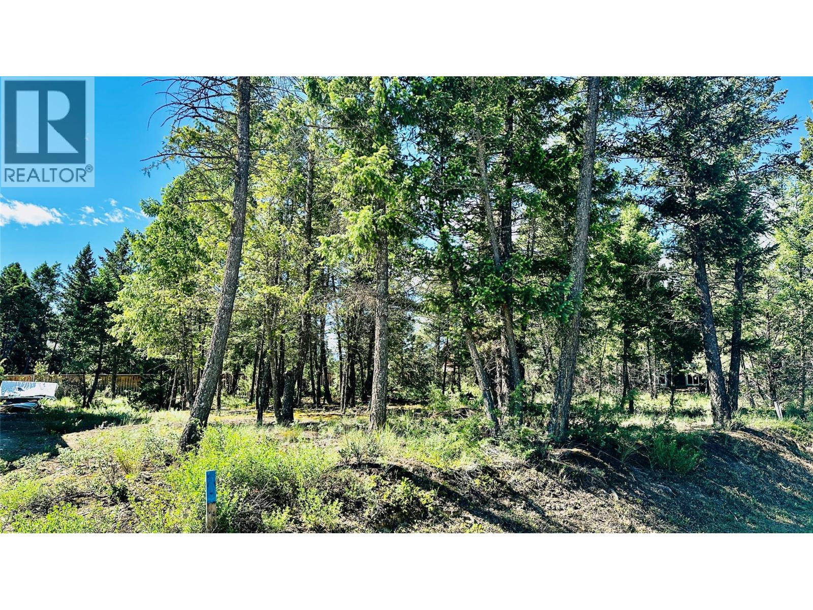 Lot 35 Copper Point Way, Windermere, British Columbia  V0B 1L1 - Photo 4 - 10390238