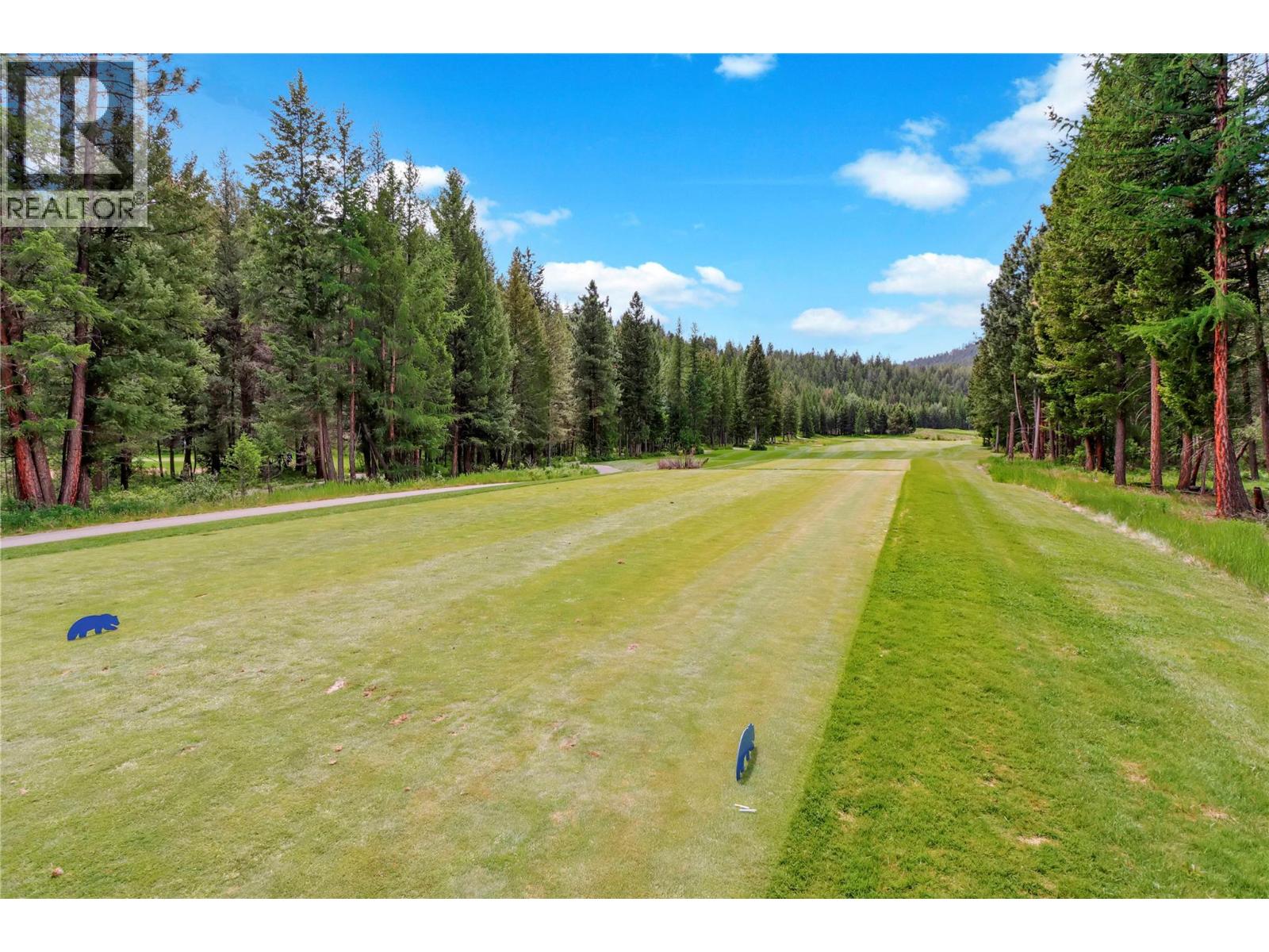 245 Shadow Mountain Boulevard, Cranbrook, British Columbia  V1C 0C6 - Photo 60 - 10390420