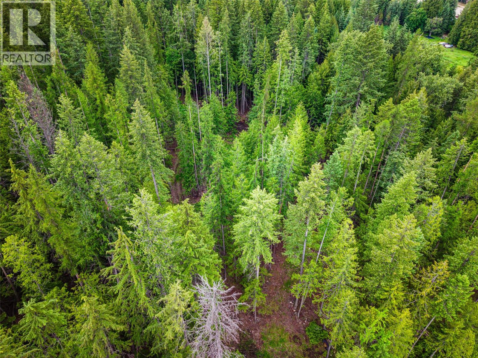7346 Harrop Procter Road, Procter, British Columbia  V1L 6R4 - Photo 62 - 10390770